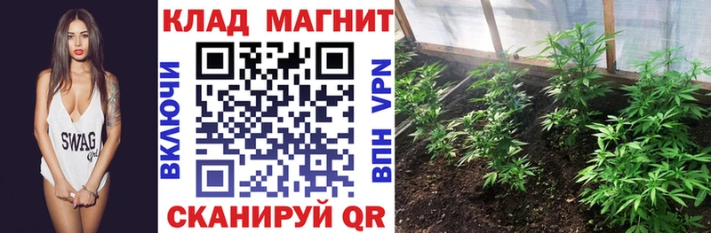 Купить наркоту Первомайск Alpha PVP  Мефедрон  Канабис  КОКАИН 