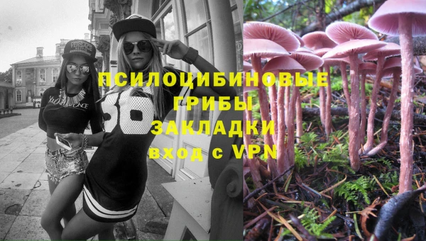 ПСИЛОЦИБИНОВЫЕ ГРИБЫ Сафоново