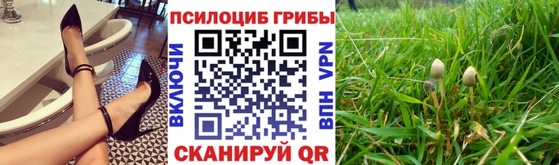 Галлюциногенные грибы MAGIC MUSHROOMS Первомайск