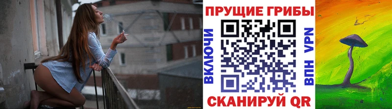 Псилоцибиновые грибы Magic Shrooms Первомайск